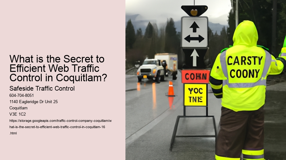 What is the Secret to Efficient Web Traffic Control in Coquitlam?