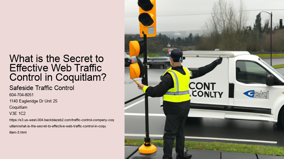 What is the Secret to Effective Web Traffic Control in Coquitlam?
