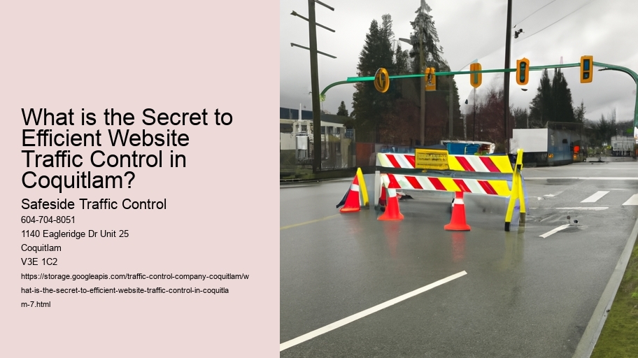 What is the Secret to Efficient Website Traffic Control in Coquitlam?